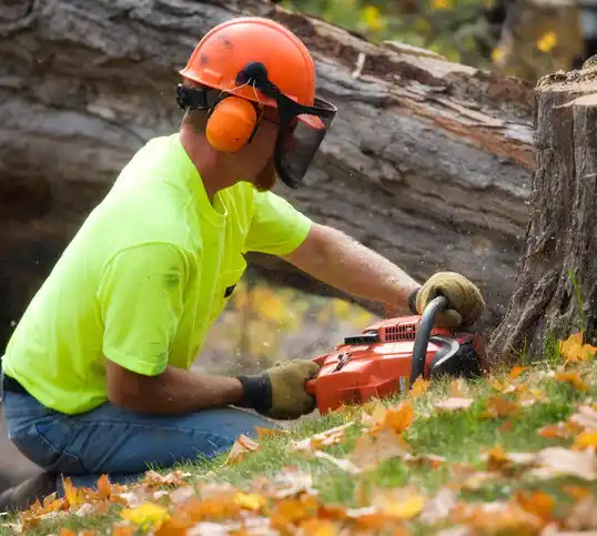 tree services Ball